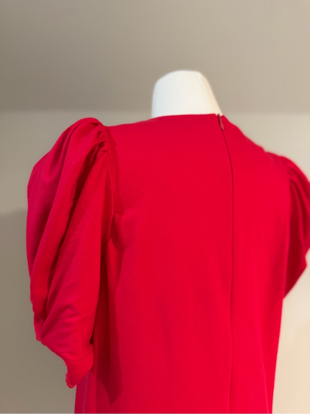 NWOT English Factory Dress - Red, Puff Sleeve, Drop Waist, Shift, Short Sleeve - Picture 4 of 10